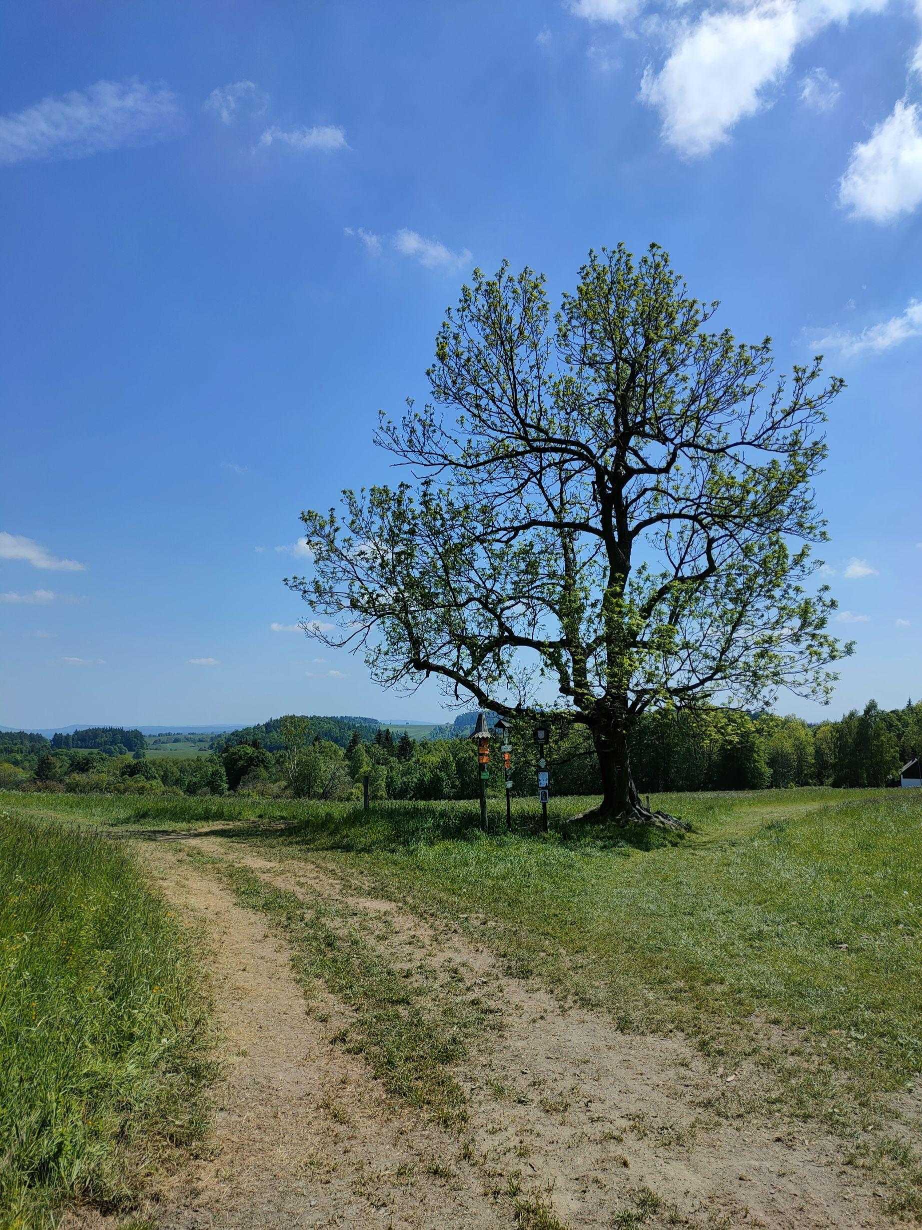 Ranná, Morgenland