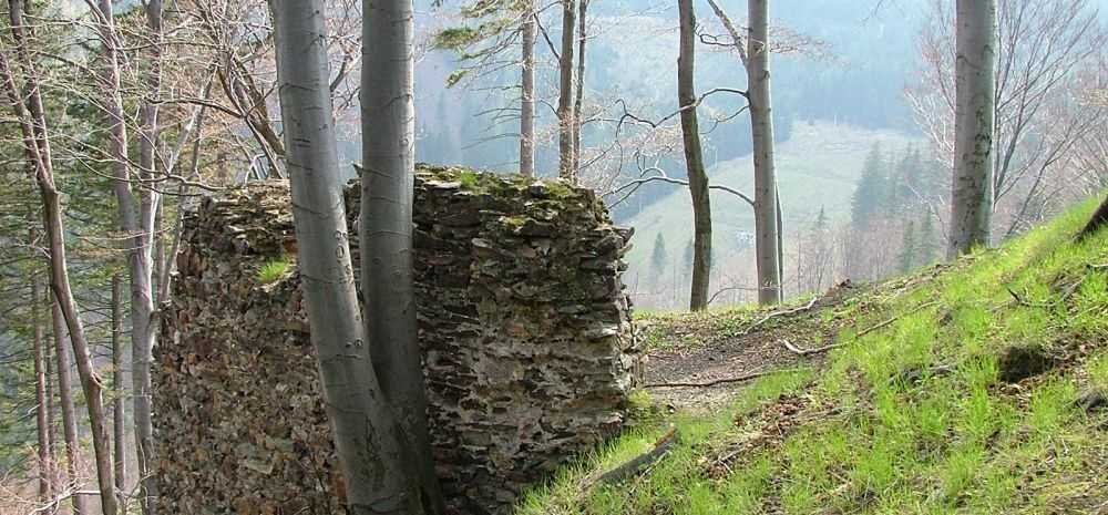 Zřícenina hradu Edelštejn