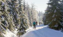 Lyžařské běžecké trasy Nová Ves